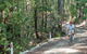 Monument Beach Ride From Bendalong - thumb 2