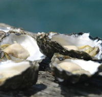 Jim Wilds Oyster Service - Attractions