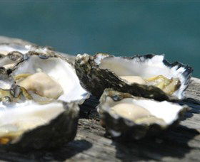 Jim Wilds Oyster Service - Attractions 0