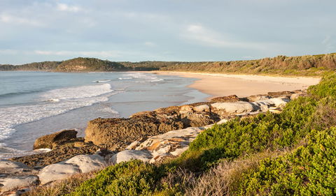 Burrawang Track - Conjola Beach To Buckleys Point - Attractions 0