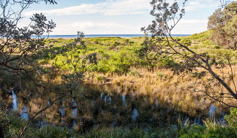 Burrawang Track - Conjola Beach To Buckleys Point - Attractions 1