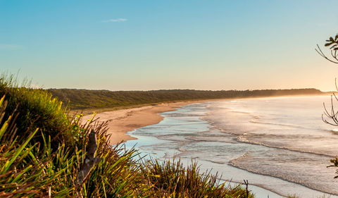Burrawang Track - Conjola Beach To Buckleys Point - Attractions 2