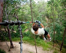 TreeTop Challenge - Attractions 0
