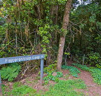 Falcorostrum loop walking track - Attractions