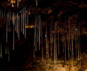 Tamborine Mountain Glow Worm Caves - Attractions 0
