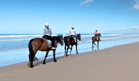 Worimi National Park - Attractions 1