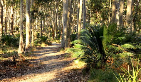Square Head Track 2 - Attractions 0