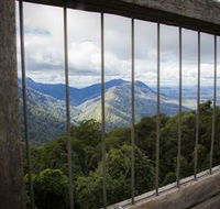 Dorrigo Rainforest Centre - Attractions