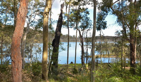 Lake Walking Track - Attractions 1