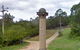 Old Nerrigundah Settlement Trail - thumb 0