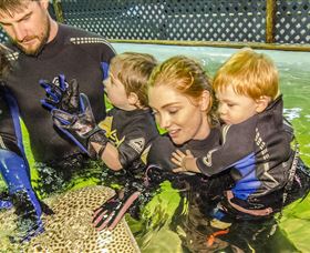 One Mile NSW Attractions
