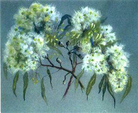 Norma Holt Studio Gallery - Attractions 1