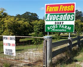 The Avocado Farm - Attractions 3