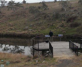 Bombala Platypus Reserve - Attractions 0