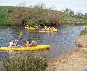 Bombala Platypus Reserve - Attractions 1