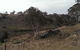 Bombala Platypus Reserve - thumb 3