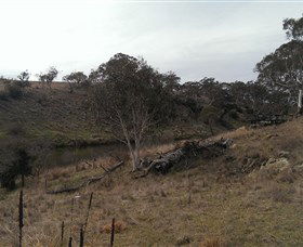 Bombala Platypus Reserve - Attractions 3