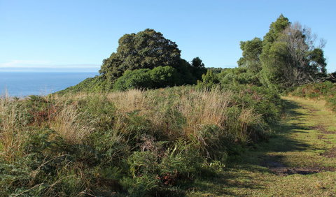 Pretty Beach To Durras Mountain Walking Track - Attractions 2