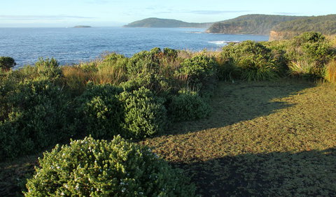 Pretty Beach To Durras Mountain Walking Track - Attractions 3