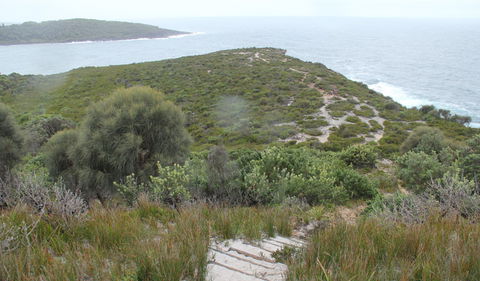 Pretty Beach To Snapper Point Walking Track - Attractions 2