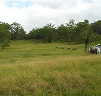 Numinbah Valley Adventure Trails - Attractions