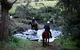 Numinbah Valley Adventure Trails - thumb 3