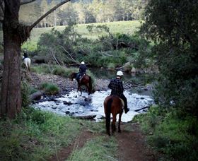Numinbah Valley Adventure Trails - Attractions 3