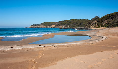 Myrtle Beach Walking Track - Attractions 3