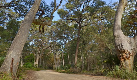 North Head Lookout - Attractions 1