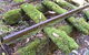 Wootton Historical Railway Walk - thumb 0