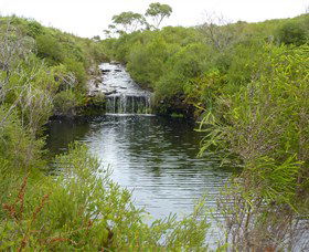 Booderee National Park: Green Patch And Telegraph Creek Walking Tracks - Attractions 0