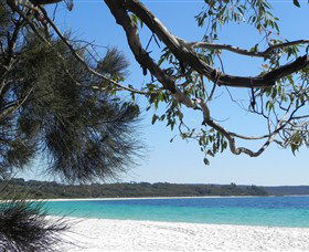 Booderee National Park: Green Patch And Telegraph Creek Walking Tracks - Attractions 6