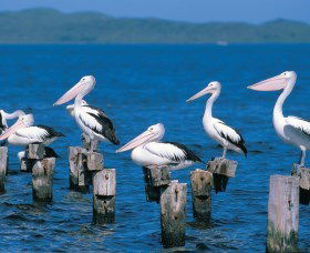 Walpole-Nornalup Inlets - Attractions 1