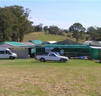 Tinonee Orchid Nursery - Attractions