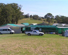 Tinonee Orchid Nursery - Attractions 0