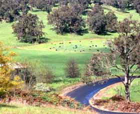 Blackwood River Tourist Drive - Attractions 0