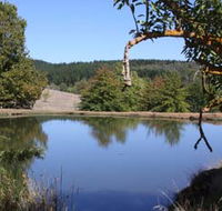 Oak Grove Walk Balingup - Attractions