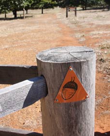 Oak Grove Walk, Balingup - Attractions 3