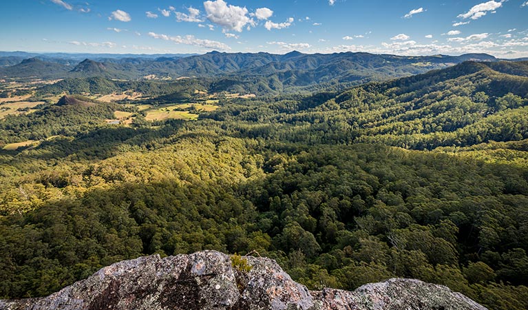 Lansdowne Forest ACT Attractions