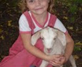 Honeycomb Valley Farm - Attractions 7