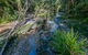 Dawson River Walking Track - thumb 0