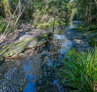Dawson River walking track - Attractions