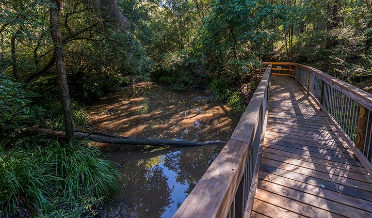 Ms Kellys walking track Brimbin