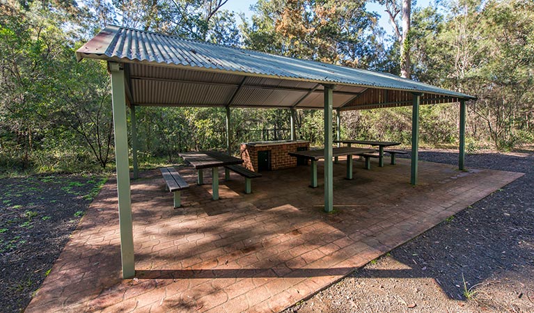 Brimbin picnic area Brimbin