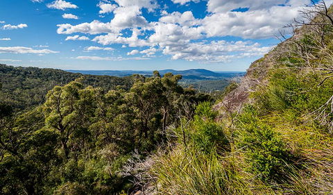 Big Nellie Lookout And Picnic Area - Attractions 2
