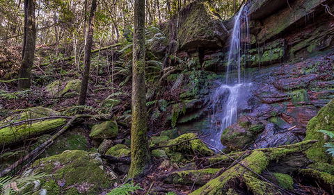 Coorabakh National Park - Attractions 0