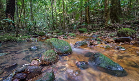 Coorabakh National Park - Attractions 1