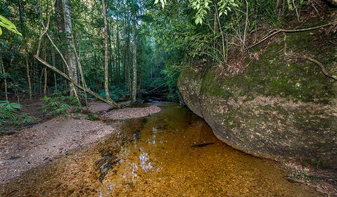Coorabakh National Park - Attractions 2