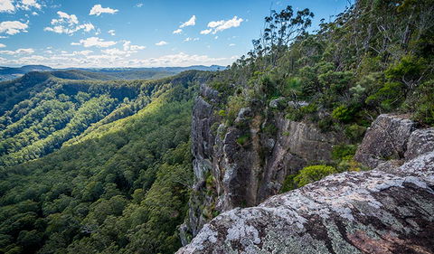 Coorabakh National Park - Attractions 3