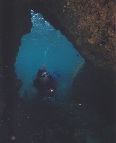 Tangalooma Wrecks Dive Site - Attractions 1